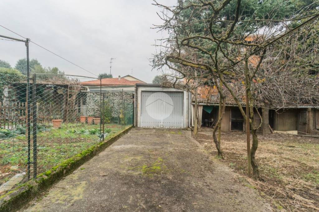 immagine annuncio 6 di 15