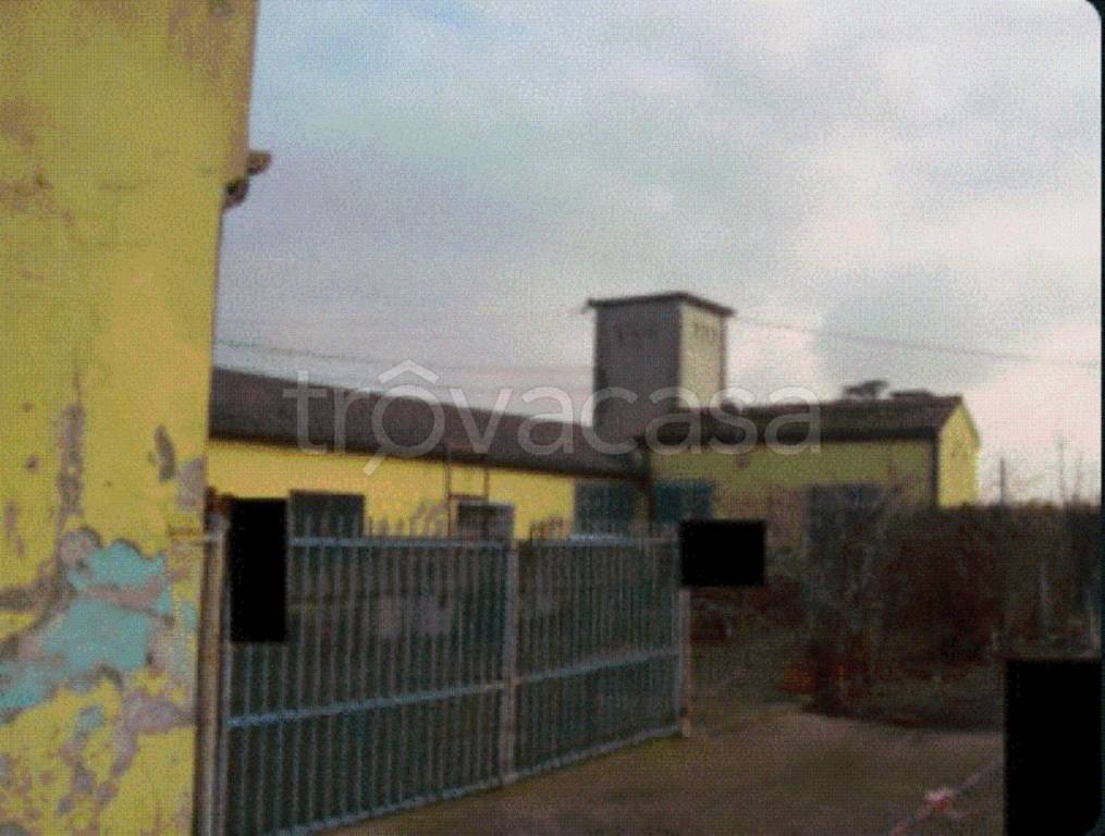 immagine annuncio 10 di 12