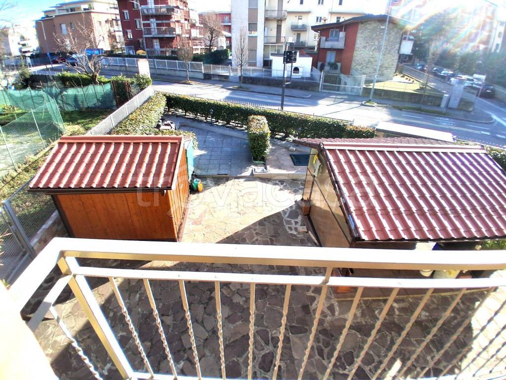 immagine annuncio 12 di 15