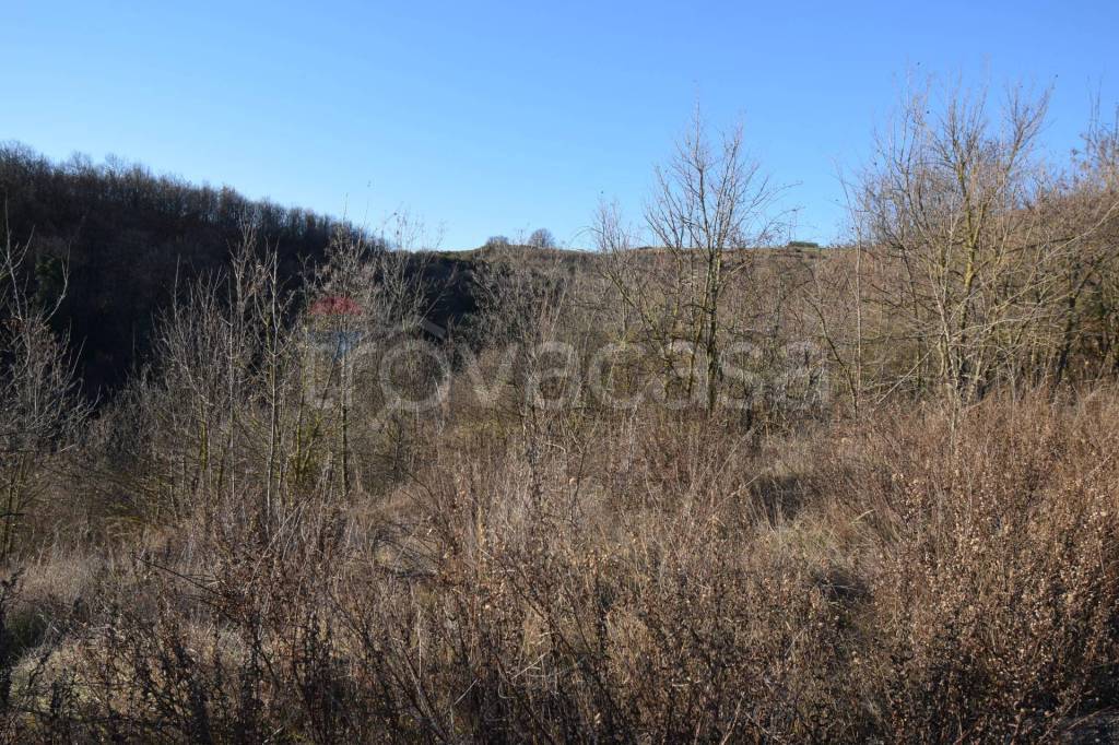 immagine annuncio 3 di 6