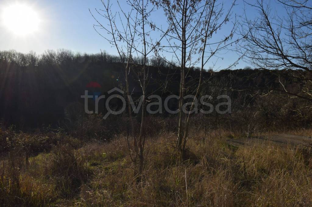 immagine annuncio 4 di 6