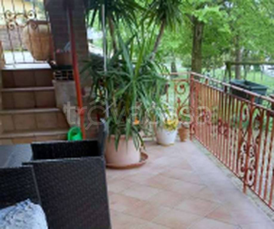 immagine annuncio 9 di 11