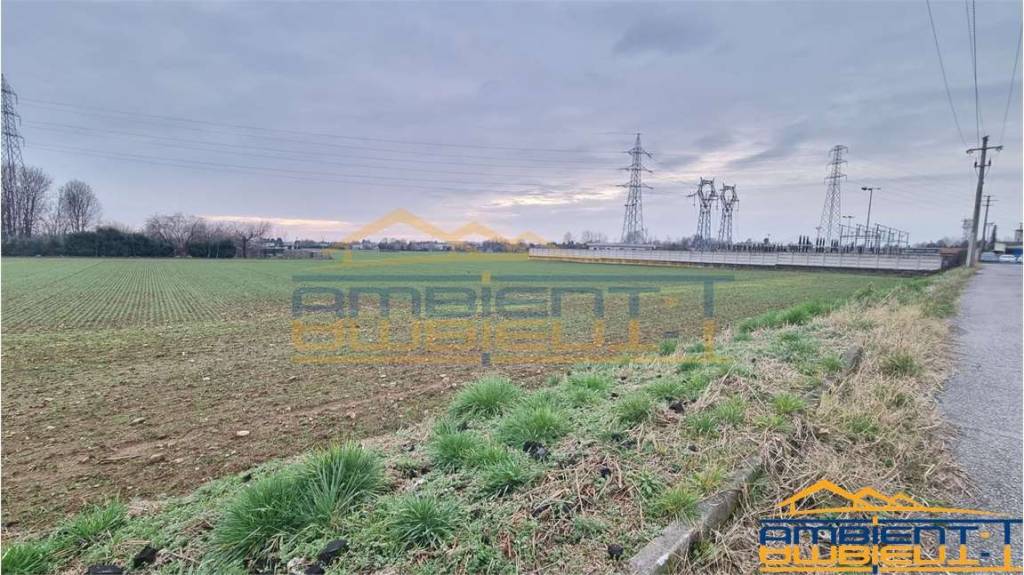 immagine annuncio 2 di 12