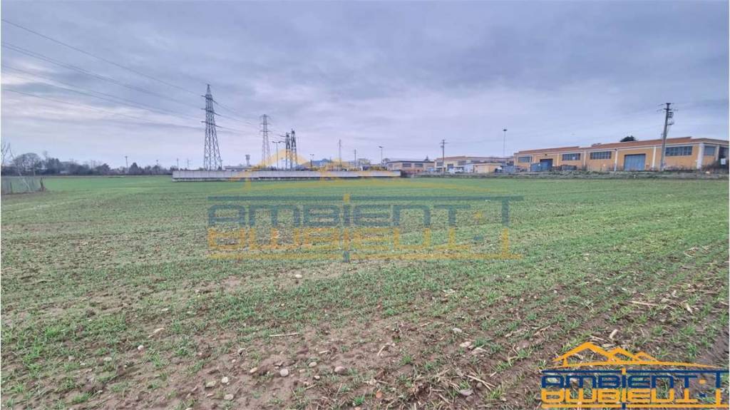 immagine annuncio 3 di 12