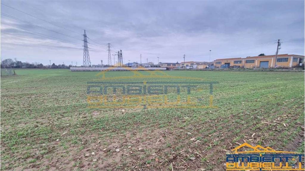 immagine annuncio 4 di 12