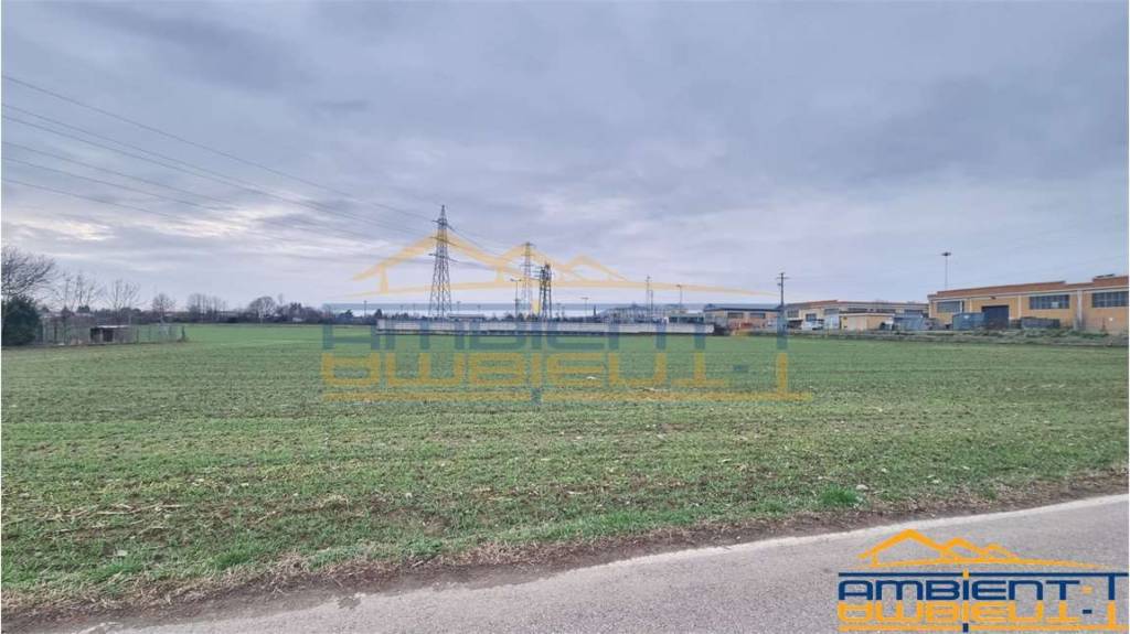 immagine annuncio 5 di 12