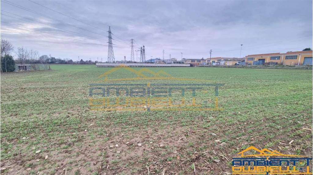 immagine annuncio 6 di 12