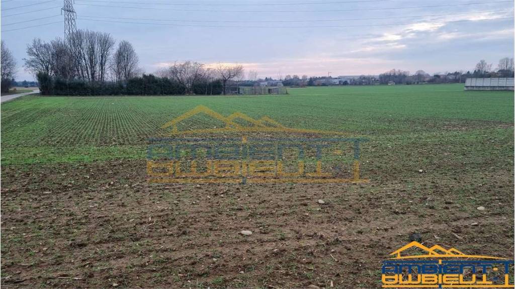 immagine annuncio 7 di 12