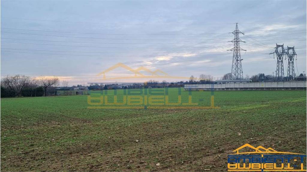 immagine annuncio 9 di 12