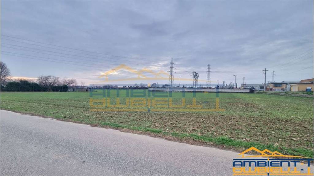 immagine annuncio 10 di 12