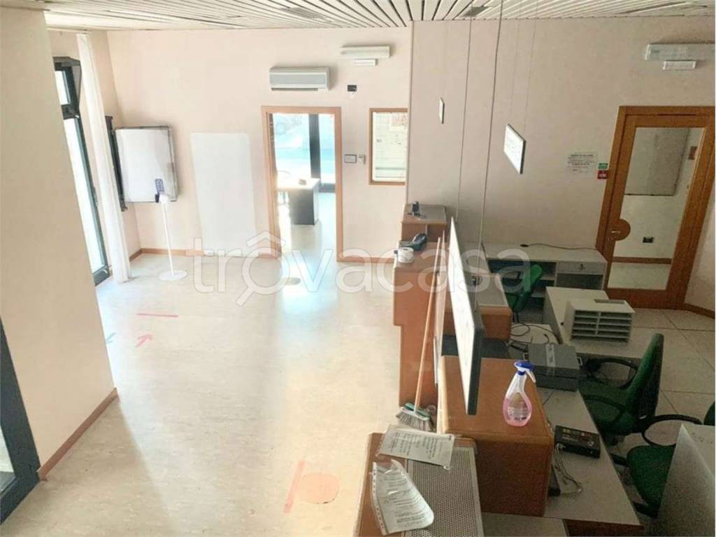 immagine annuncio 1 di 14