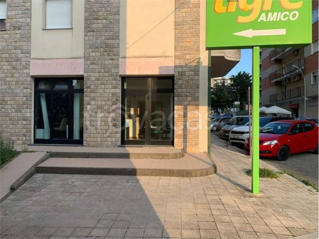 immagine annuncio 4 di 14