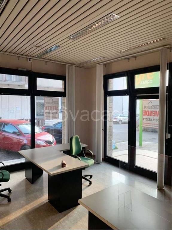 immagine annuncio 10 di 14