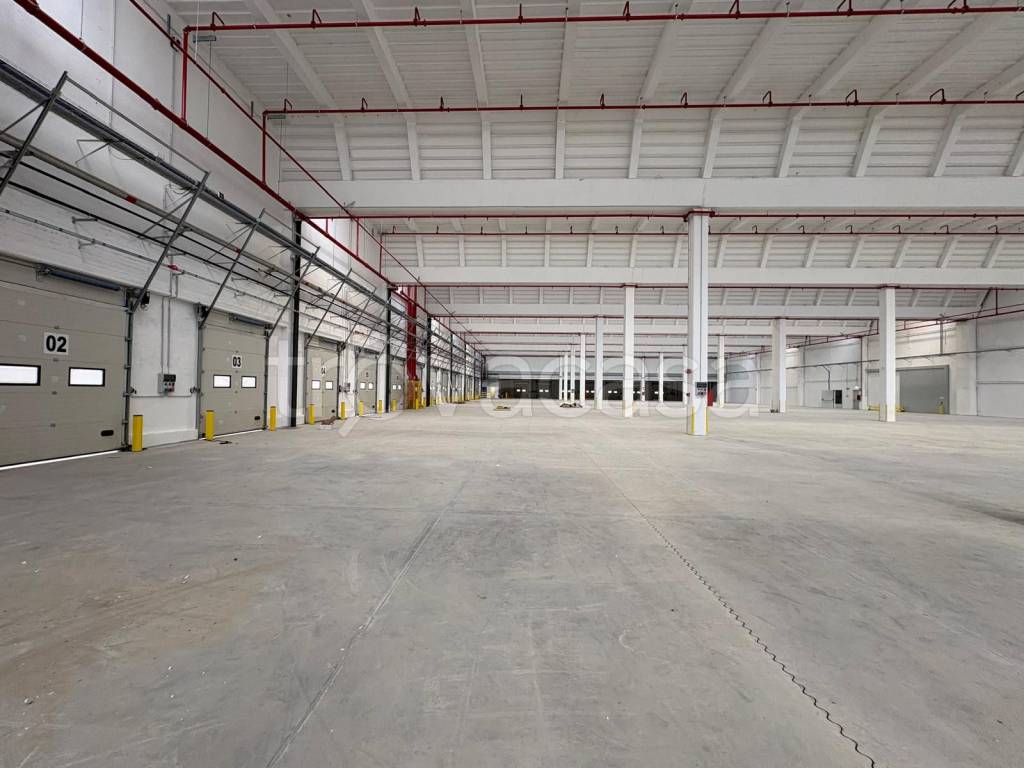 immagine annuncio 5 di 11