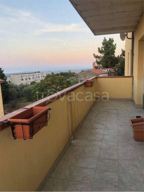 immagine annuncio 9 di 14