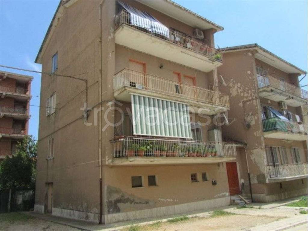 immagine annuncio 3 di 14