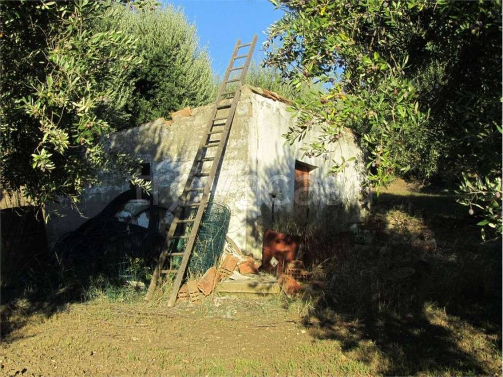 immagine annuncio 2 di 12