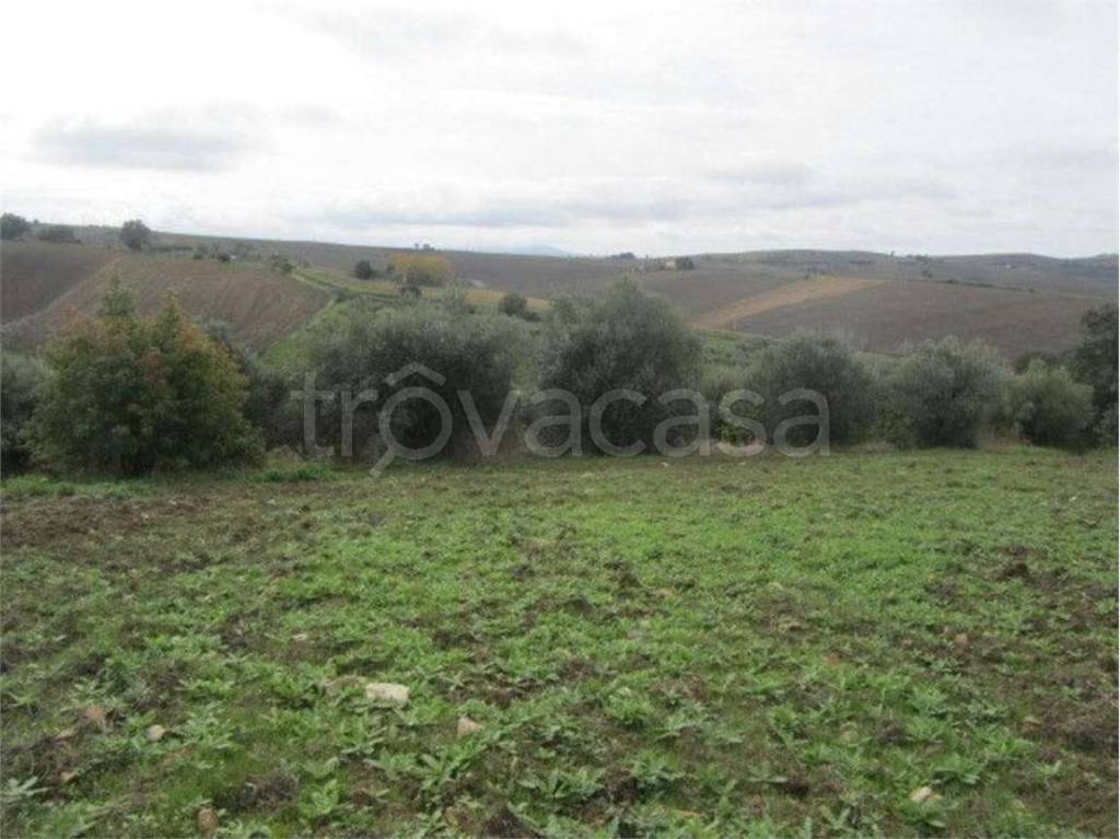 immagine annuncio 3 di 7