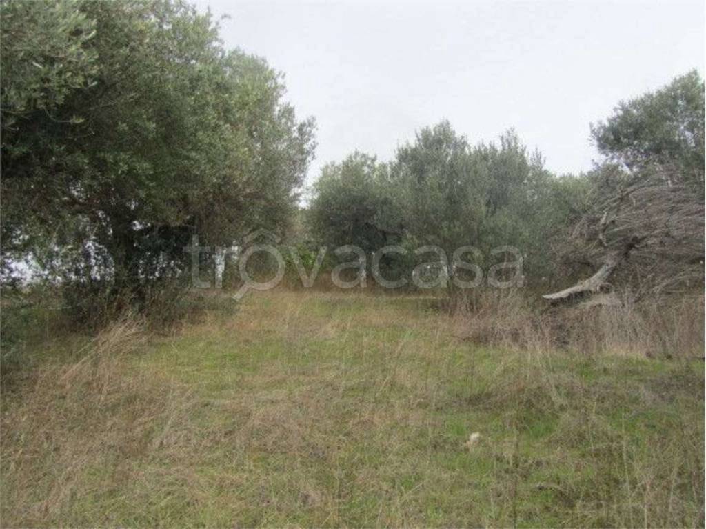 immagine annuncio 5 di 7