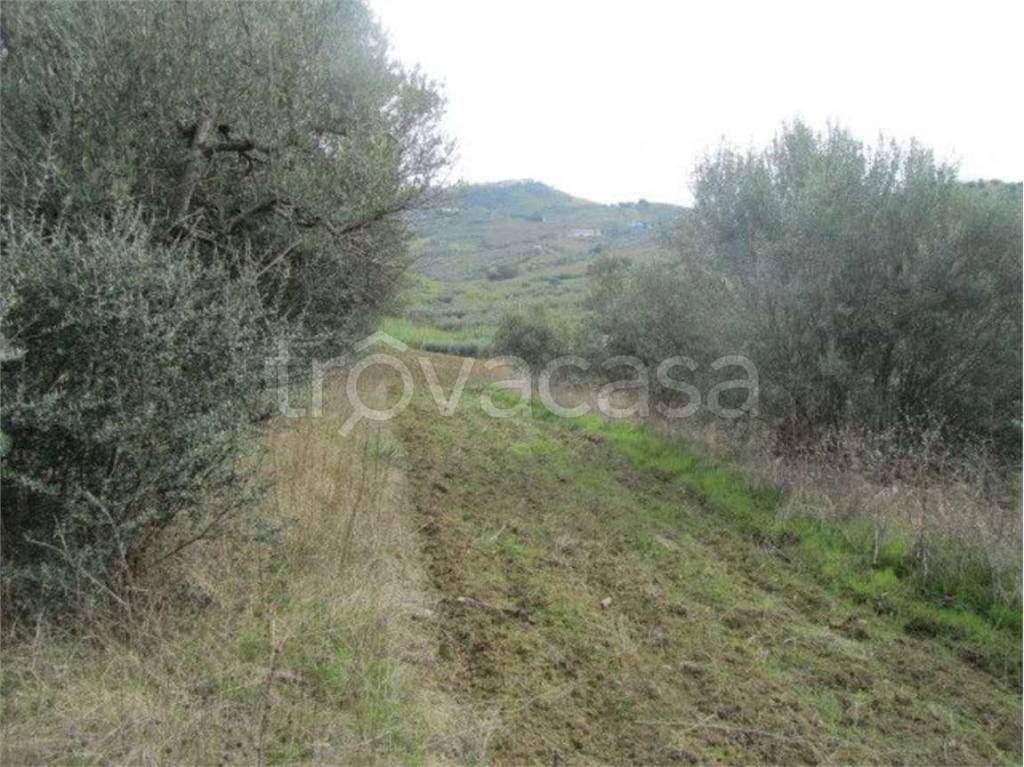 immagine annuncio 6 di 7