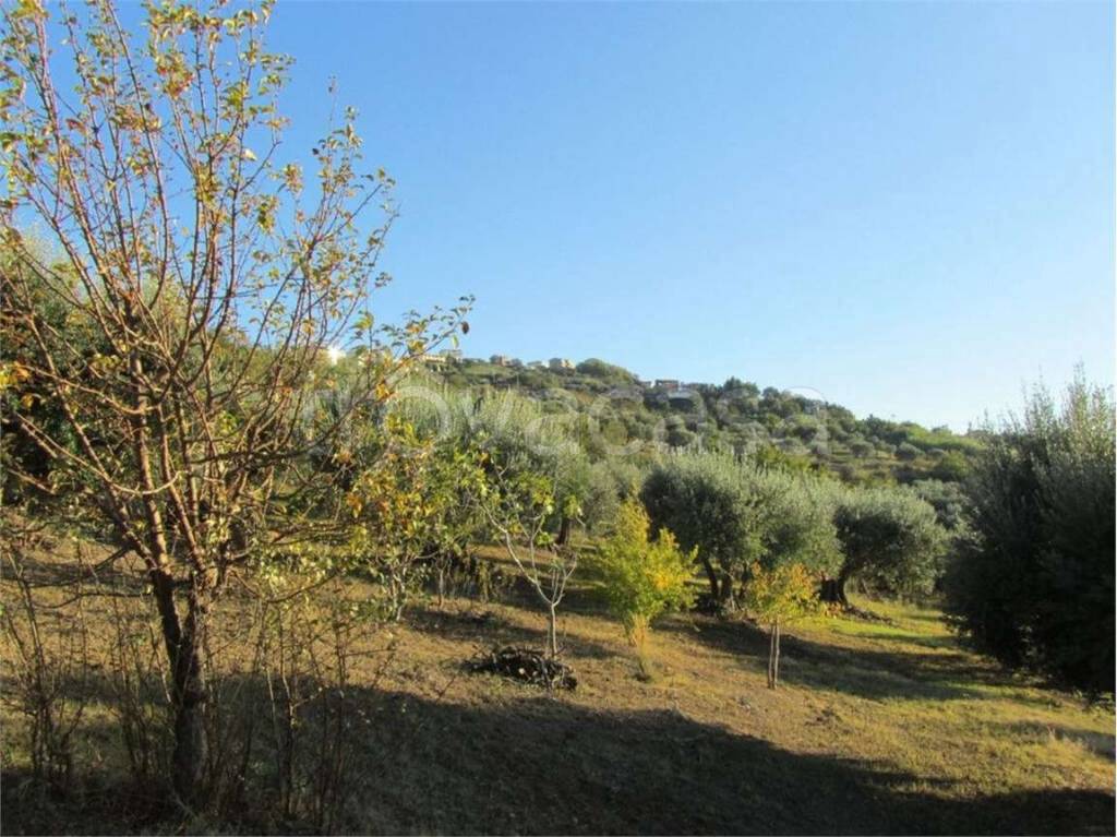 immagine annuncio 9 di 12