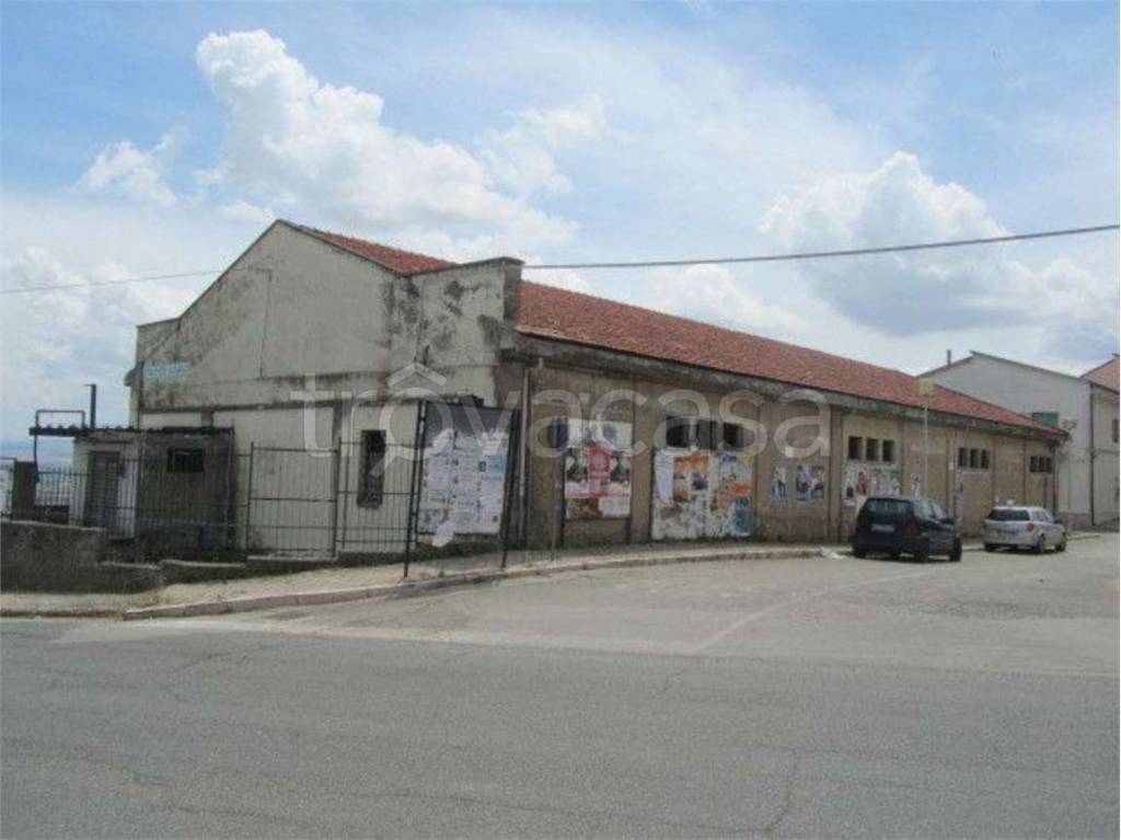 immagine annuncio 2 di 14