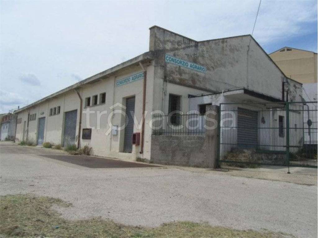 immagine annuncio 4 di 14