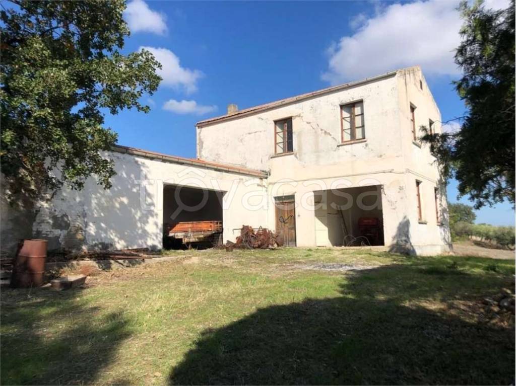 immagine annuncio 5 di 11