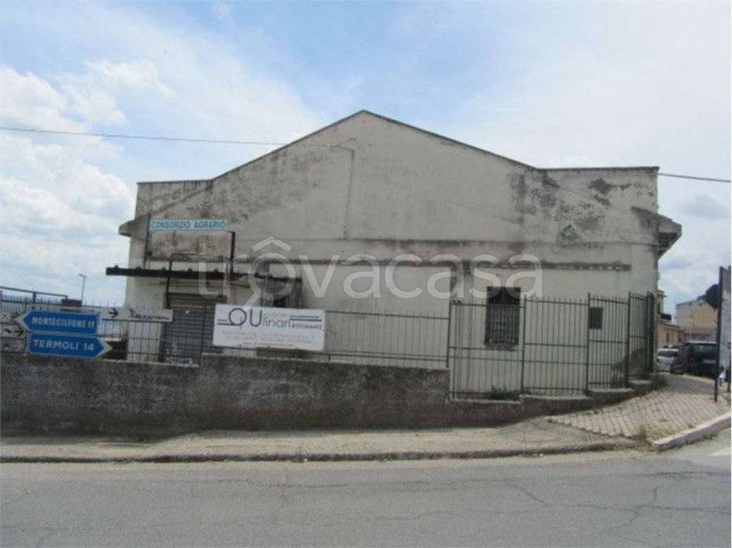 immagine annuncio 8 di 14