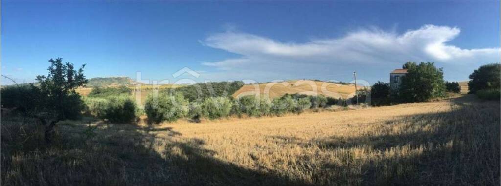 immagine annuncio 9 di 11