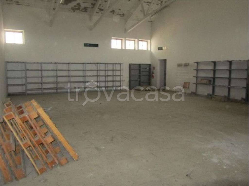 immagine annuncio 12 di 14