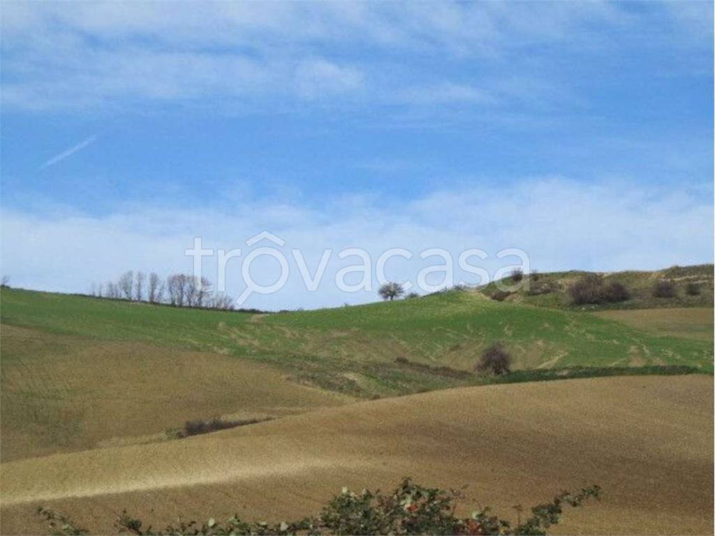 immagine annuncio 5 di 6