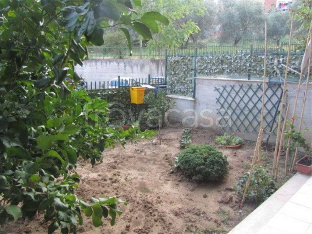 immagine annuncio 3 di 14