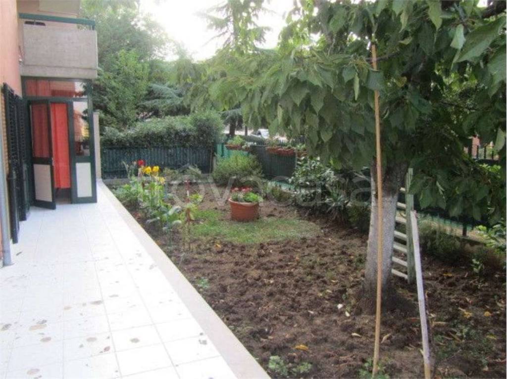 immagine annuncio 7 di 14