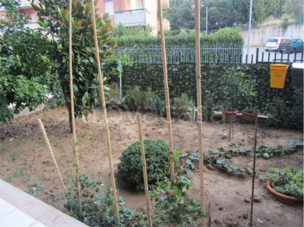 immagine annuncio 8 di 14