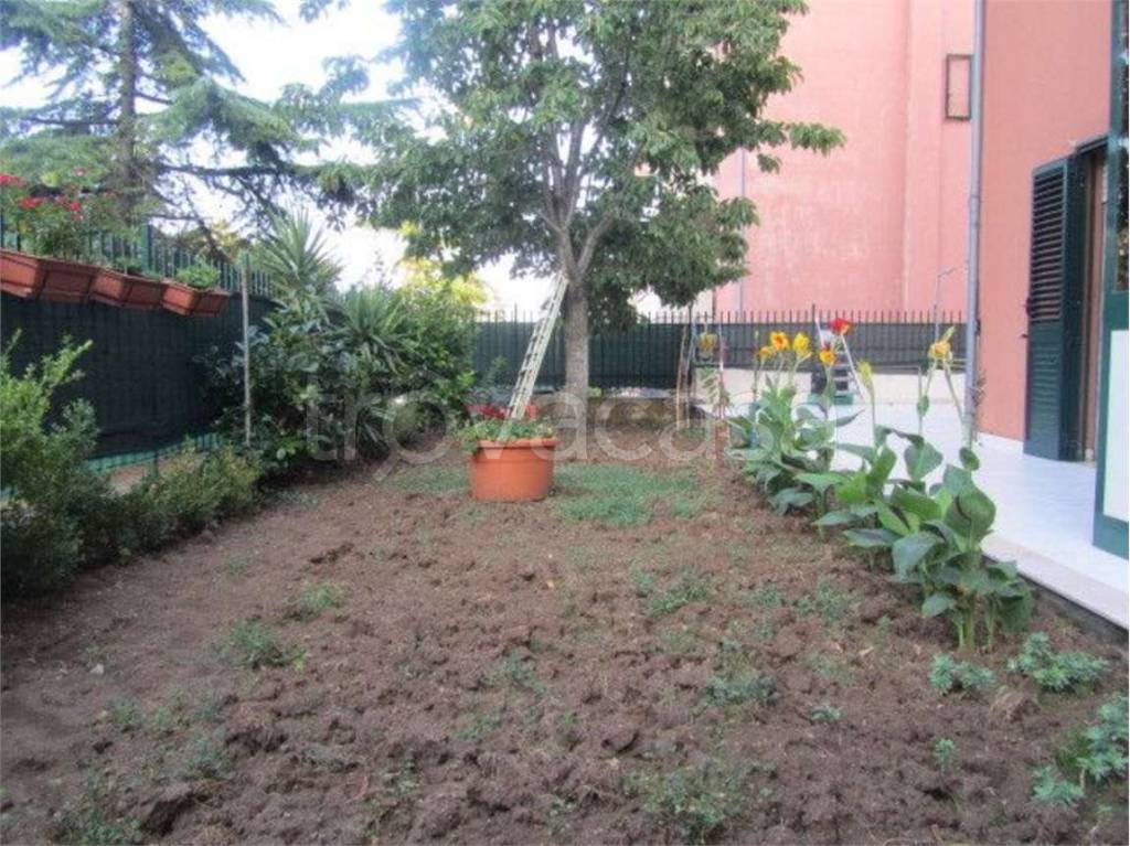 immagine annuncio 10 di 14