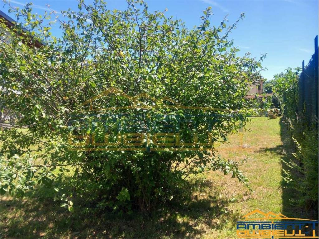 immagine annuncio 6 di 11