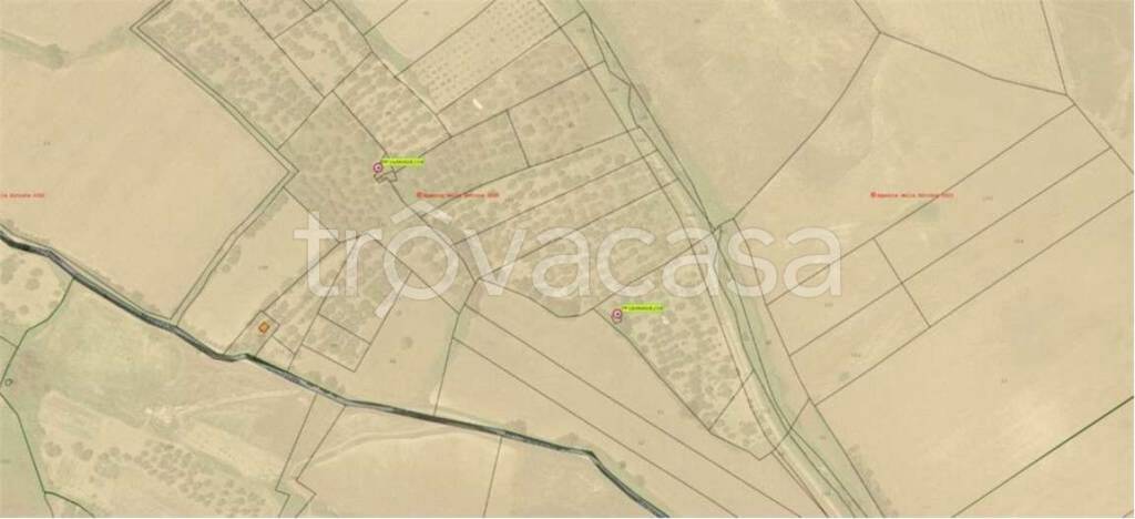 immagine annuncio 5 di 11