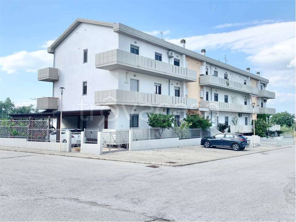 immagine annuncio 13 di 14