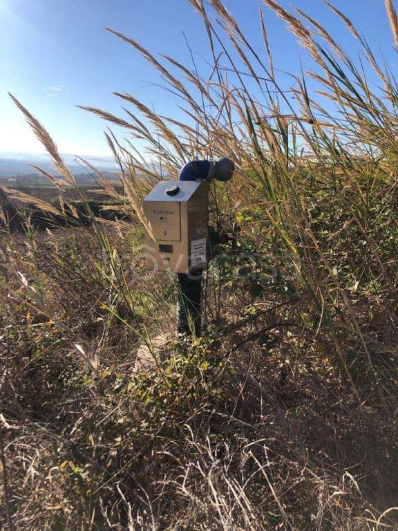 immagine annuncio 12 di 14