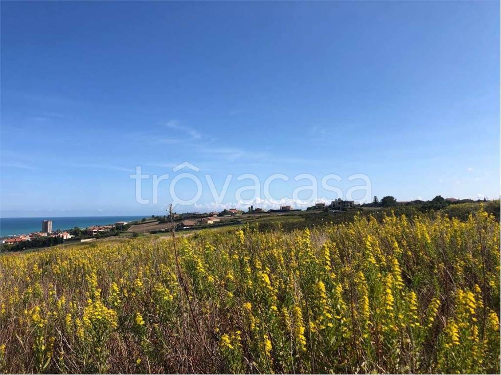 immagine annuncio 5 di 7