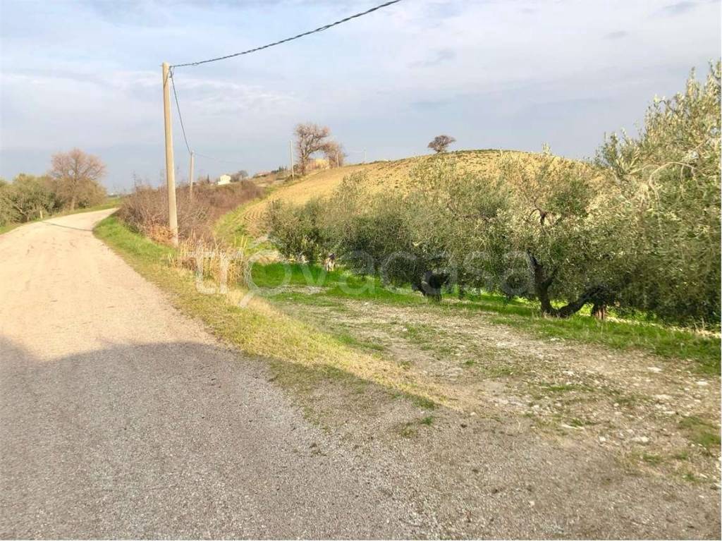 immagine annuncio 2 di 8