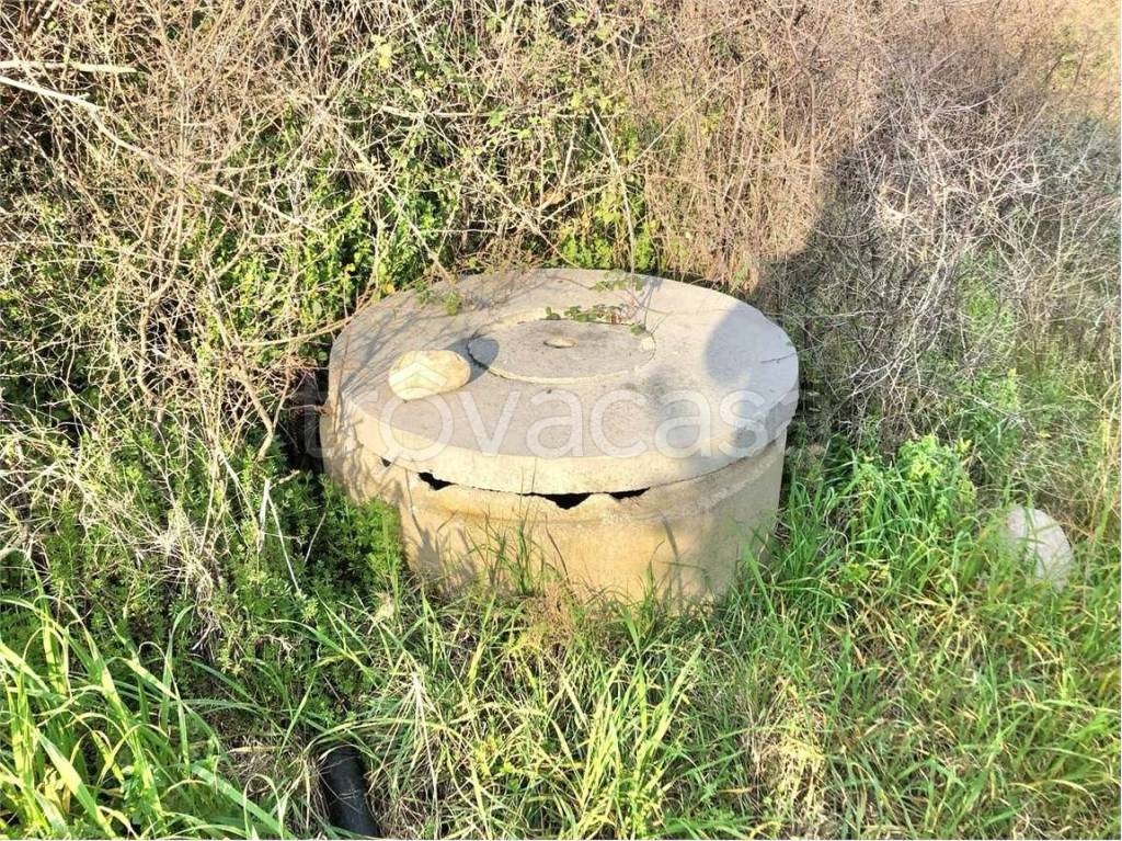 immagine annuncio 7 di 8