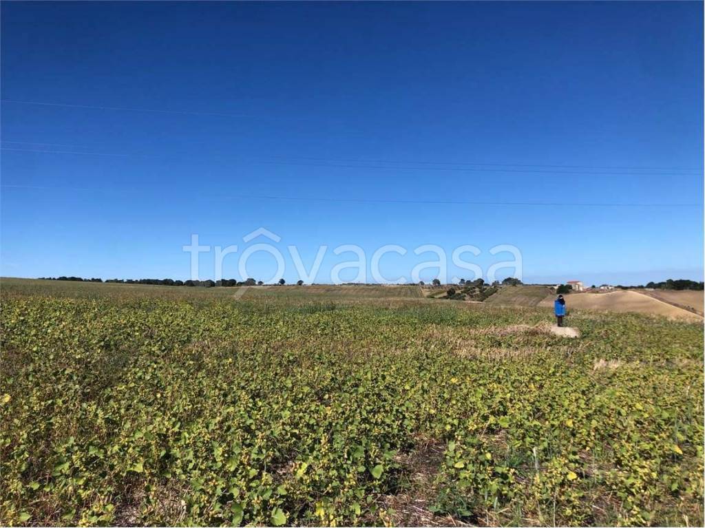 immagine annuncio 5 di 12