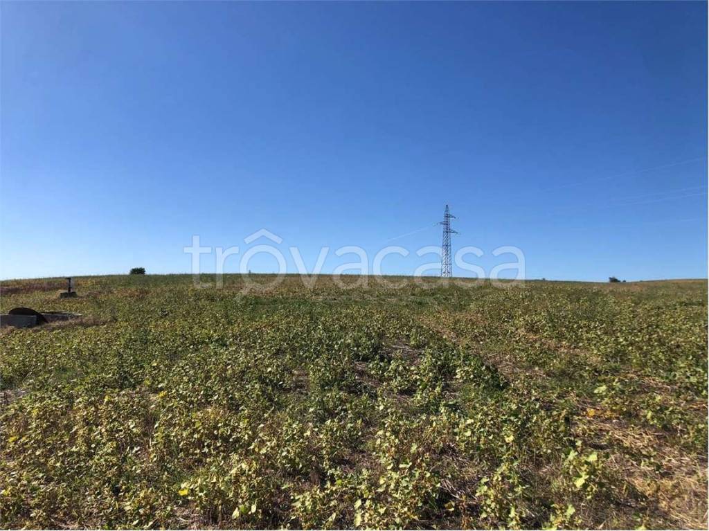 immagine annuncio 6 di 12