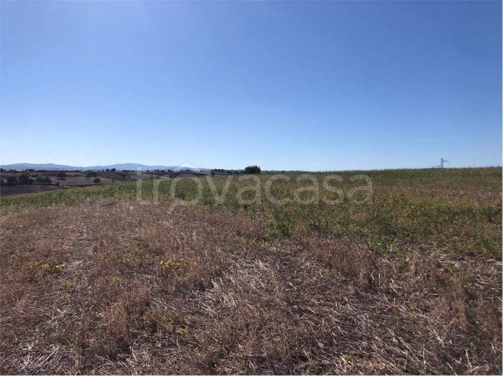 immagine annuncio 10 di 12