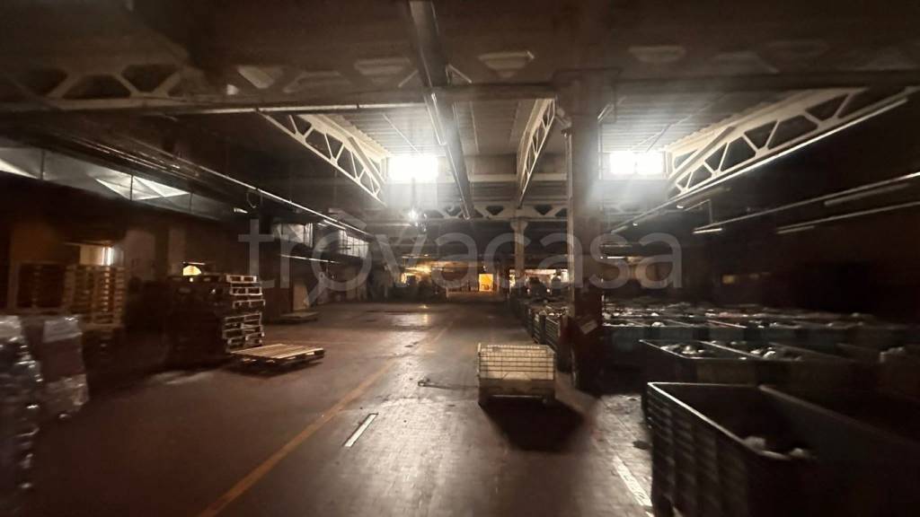 immagine annuncio 1 di 7