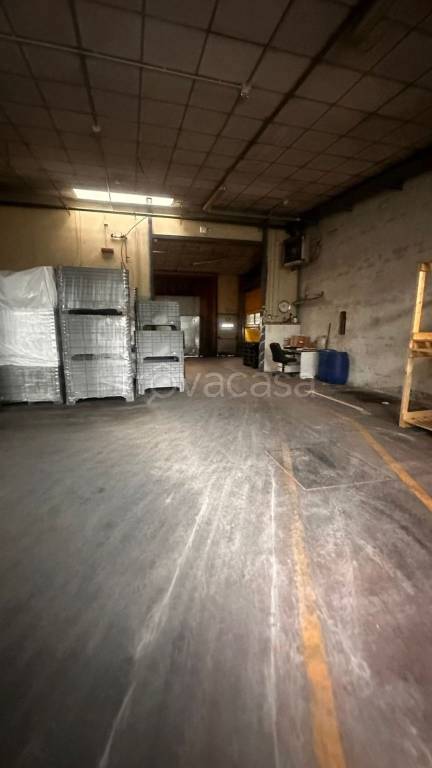 immagine annuncio 3 di 7