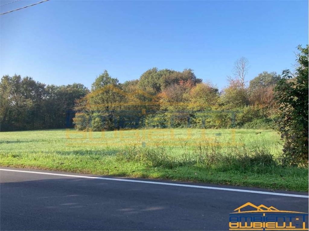 immagine annuncio 3 di 4