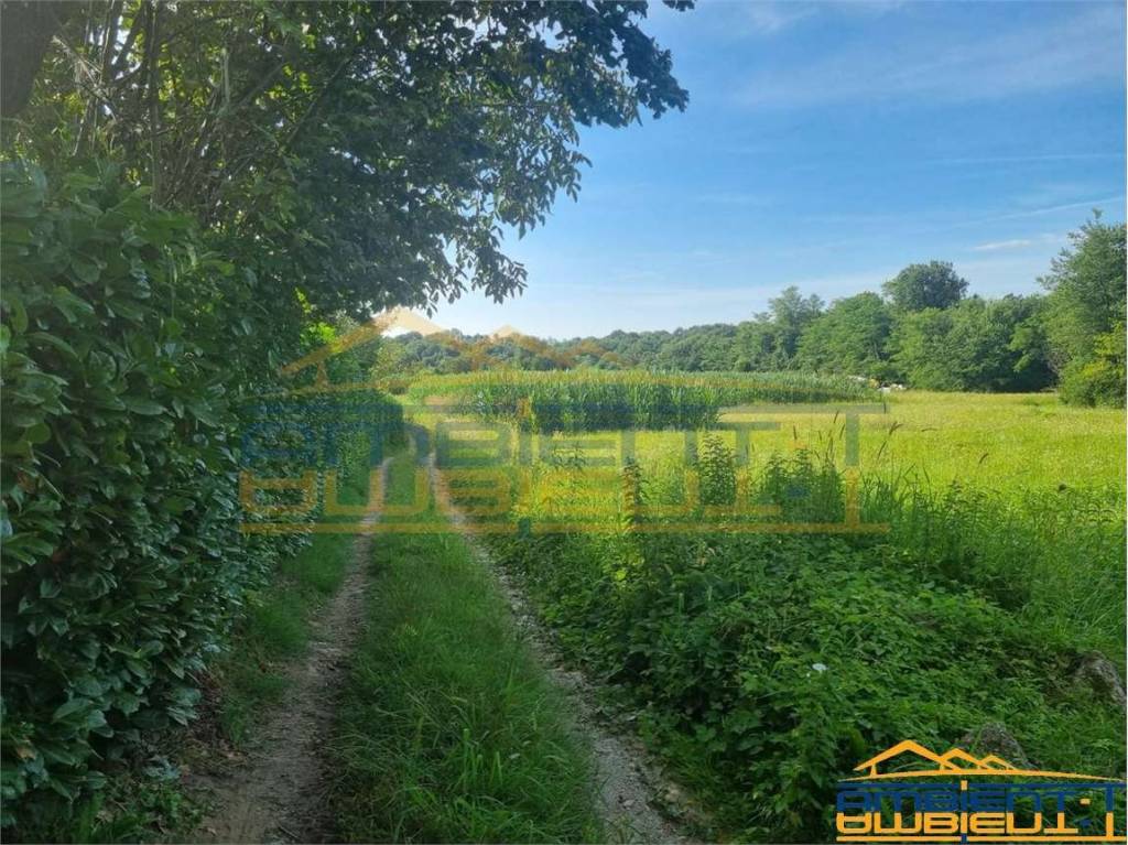 immagine annuncio 2 di 12